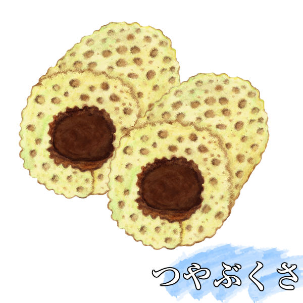 イラストを見て判断できる 和菓子名前検索 和菓子の季節 Com